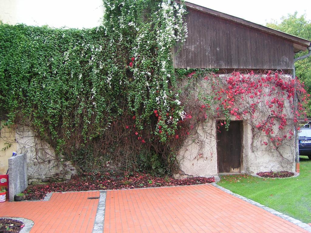 Guest house Domizil *